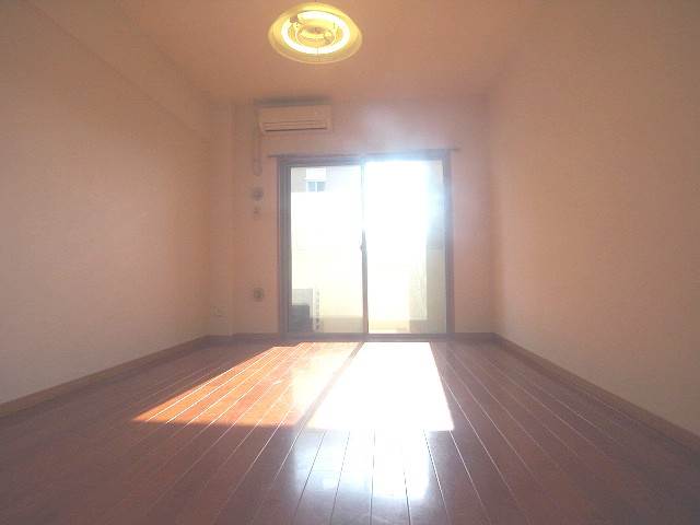 日当たり良好ですね