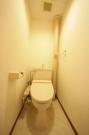 清潔感のあるトイレです