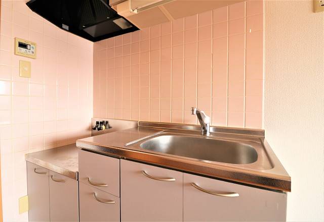 料理がはかどる2口コンロのシステムキッチン