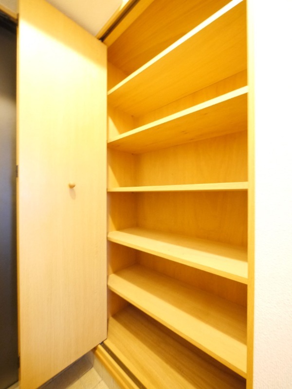 玄関収納もたっぷり入れられます。