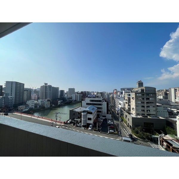 気持ちの良い光景です