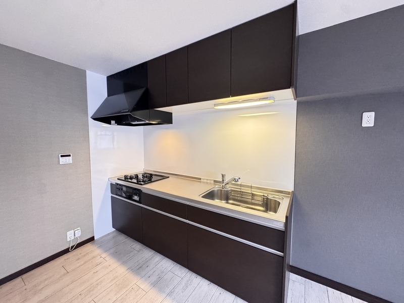 システムキッチンでうきうき料理