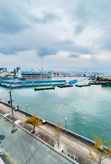 天気のいい日はこちらで洗濯物を干せます