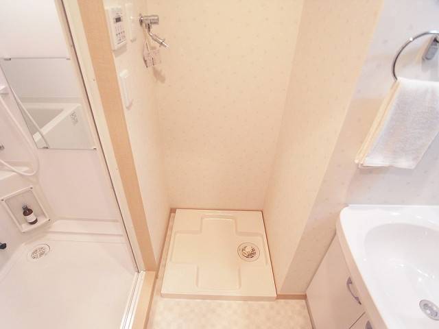 もちろん室内洗濯機置き場です