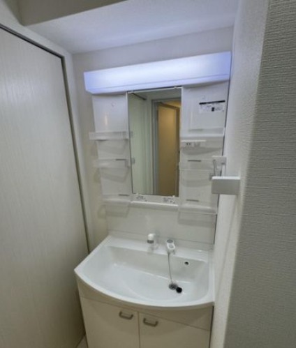 嬉しいシャンプードレッサー付きです