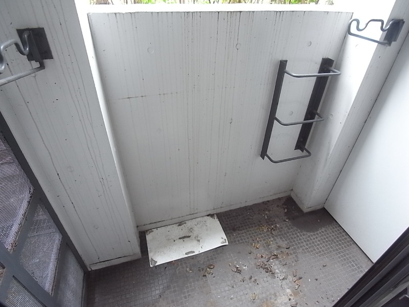 洗濯物はこちらでどうぞ。