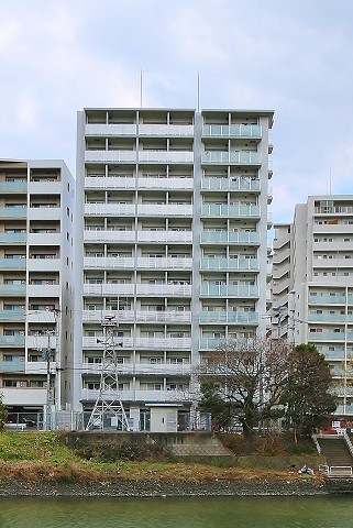 リバービューです