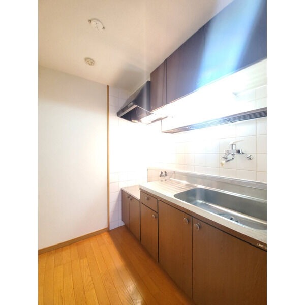 綺麗なキッチンで料理がはかどりますね