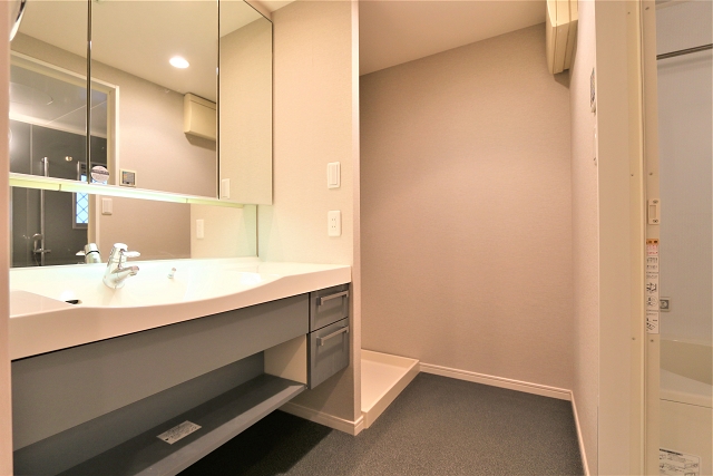 広々洗面台で身支度もはかどります