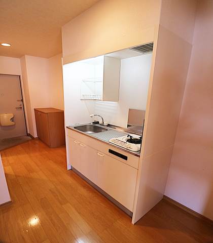 キッチンスペースも広々してます。