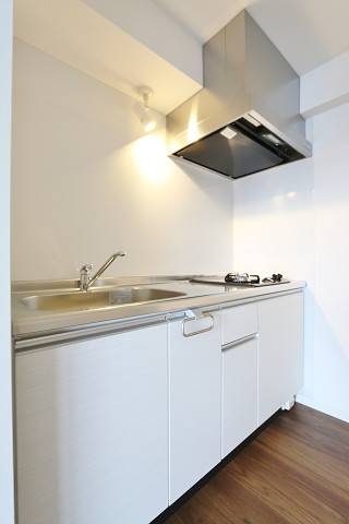 ２口システムキッチンです