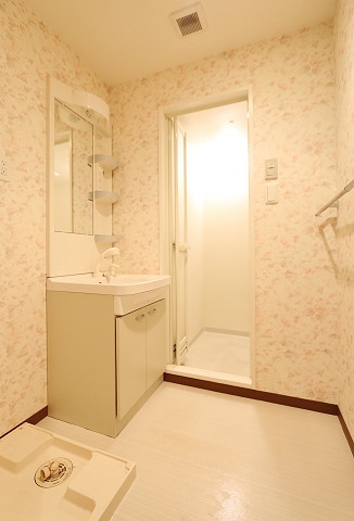 シャンプードレッサー付きです