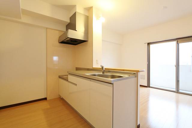 料理がはかどるキッチンです