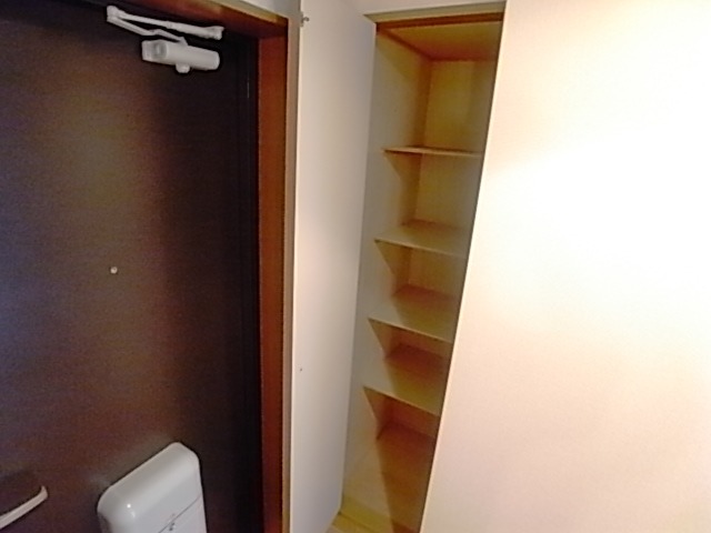 玄関収納もばっちりです。