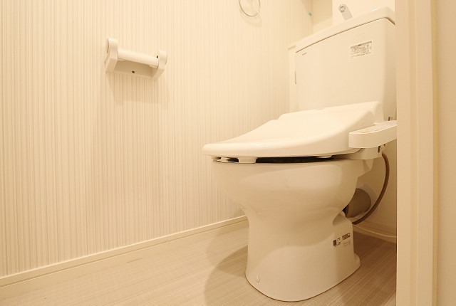 清潔感のあるトイレです