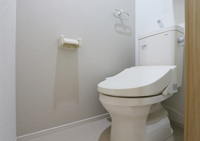 写真はイメージです。