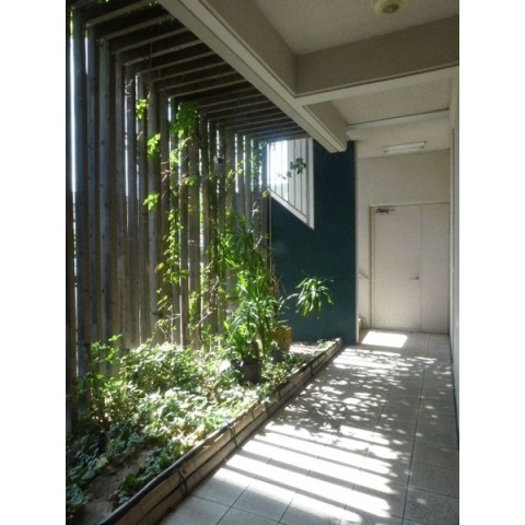 緑あふれる共有部ですね