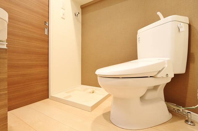 落ち着く空間ですね。