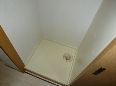 千t茎は室内に置くことができます。