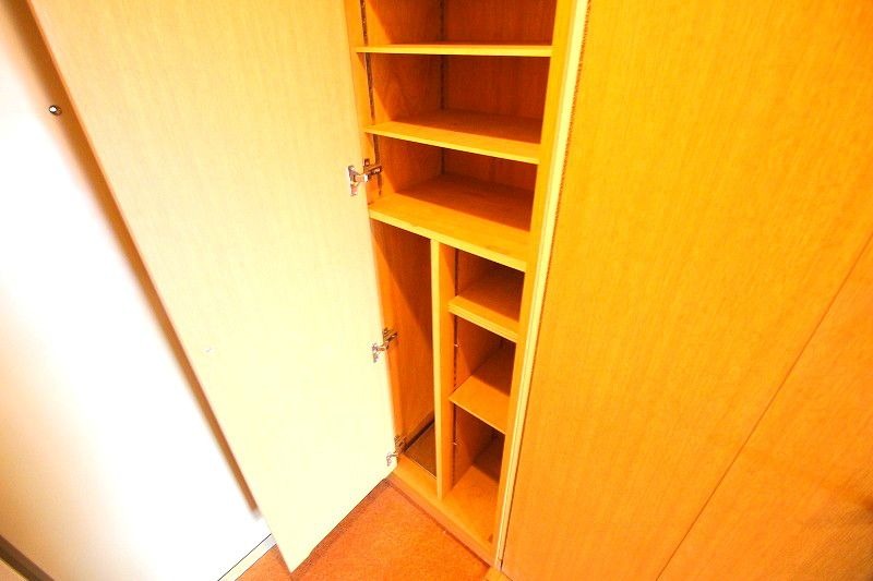 大容量のシューズボックスです。