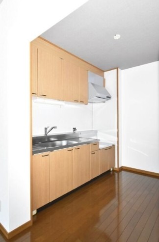 毎日料理したくなるキッチンです。