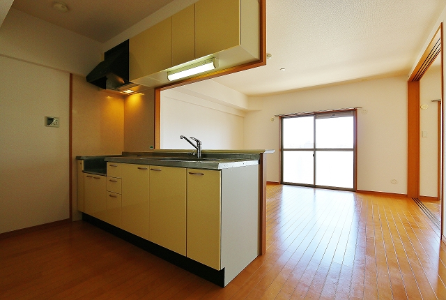 カウンターキッチンで会話も弾みますね