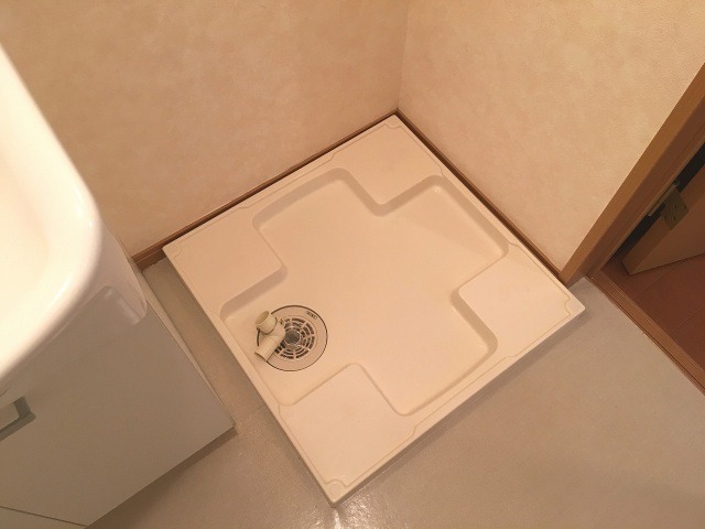 もちろん室内洗濯機置き場です。