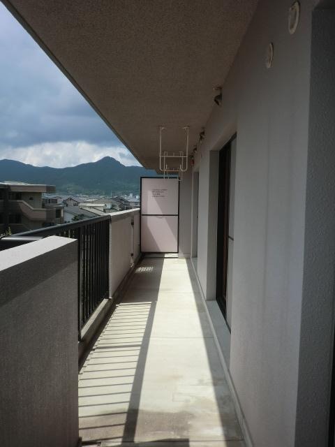 お洗濯物はこちらでどうぞ