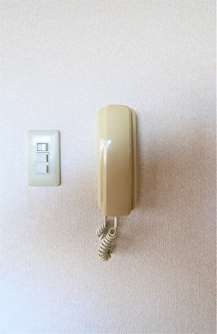 来客の確認が出来るのは安心ですね