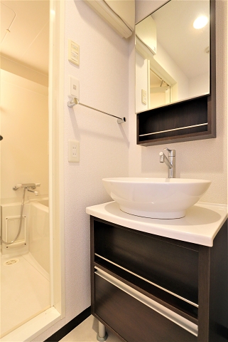 オシャレな洗面ボールですね