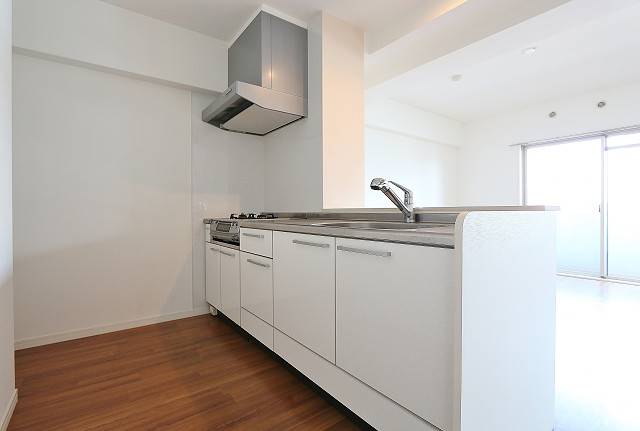 キッチン後方のスペースも充分です