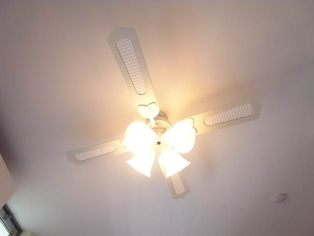 シーリングファン付いてます。