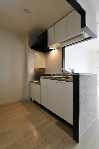 料理がはかどるキッチンです