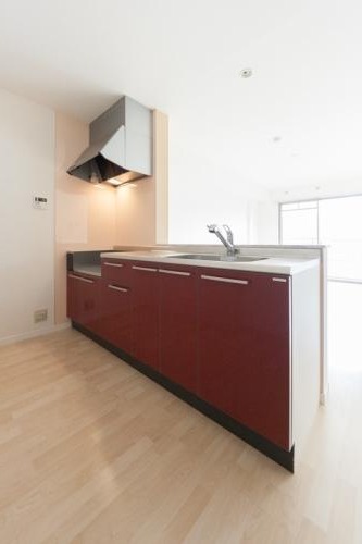 毎日料理したくなるキッチンです。