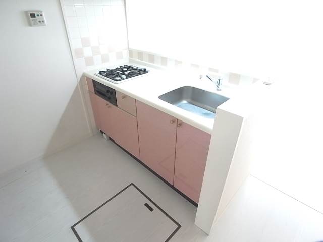 ２口コンロのシステムキッチンで料理もはかどりそう