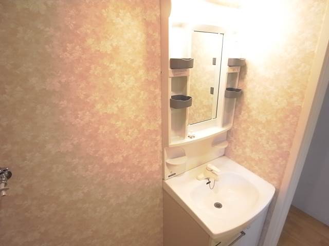 朝の身支度はこちらのシャンプードレッサーで