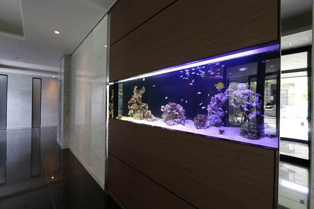 オシャレすぎます