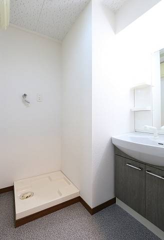 充分な広さがある脱衣所です