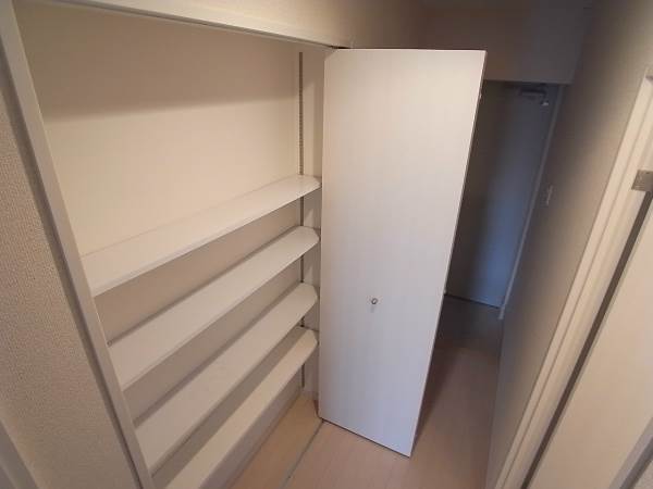 使い勝手の良い収納ですね