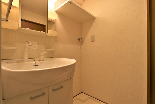 脱衣所にはシャンプードレッサー