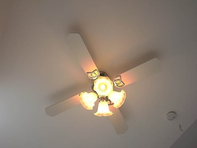 おしゃれシーリングライト。