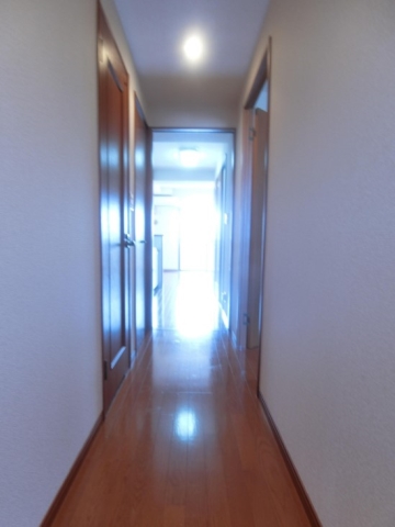 開放感のある玄関ですね