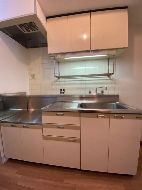 調理スペースも広々、料理もはかどりますね