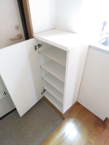 1人分の靴は十分に収納できます