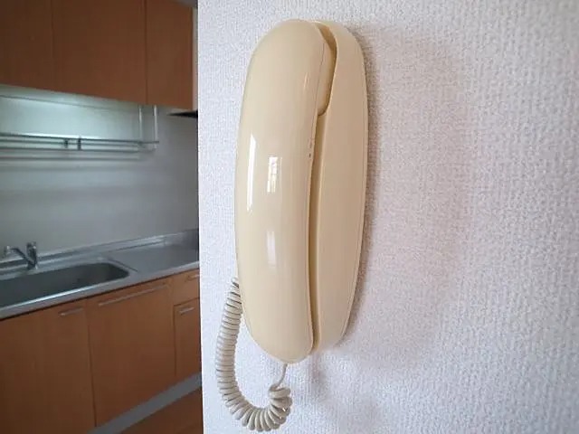 音声インターホンです