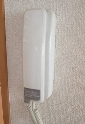 来客時はこちらで確認いたします。