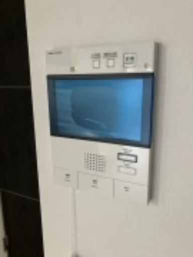 モニタ付きで誰が来たかすぐにわかります