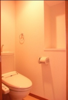 清潔感のあるトイレです