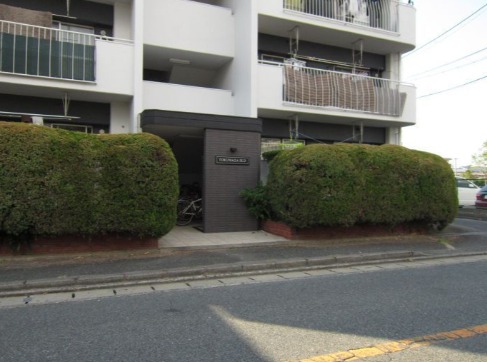 緑豊かなエントランスですね