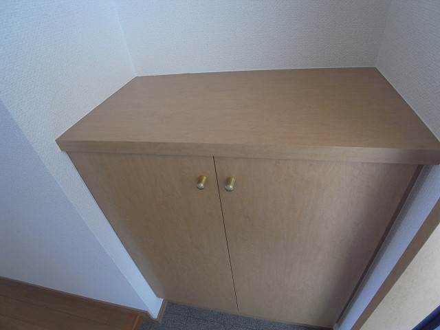 お気に入りの靴も十分収納可能